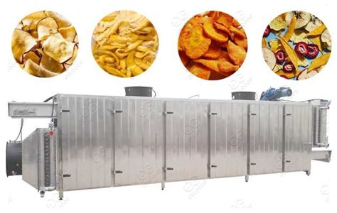 industrial fruit drying machine.